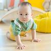 能能baby