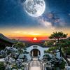 星洛阳庭