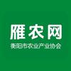雁农网