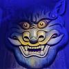 仰望碧蓝🦁