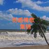 伤感情歌集锦