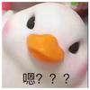 彩虹号N