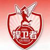 中国足球小将Guardian