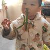 人间值得小昂狗