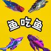 鱼鱼干饭不嘴软