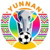 云南省城市足球联赛