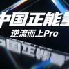 逆流而上Pro