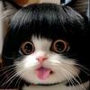 回音木鱼♬⁵⁸⁸