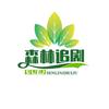 森林追剧
