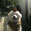 就是小贺