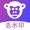 大马猴去水印