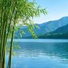 多情的锦秀山河