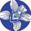 Wealle 菁盈甄选
