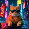猩猩剪辑的日常