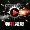 弹孔视觉