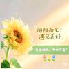 七宝追剧
