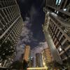 小白嗷