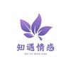 知遇情感