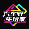 汽车野生玩家
