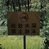 猪仔爱喝冰美式