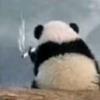 仅一天天好运