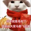 比奇堡第一大运创私78岁少羽