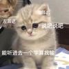 喜欢什么是个谜