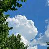 揽月入星河