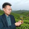 我爱茶乡