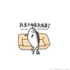大头鱼追剧