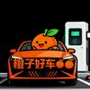 橙子好车专收特斯拉🍊