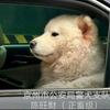 韭菜防骗