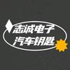 远程ECU动力升级 德阳市志诚汽车电子