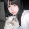 爱养猫的小掌柜00