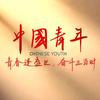 @中国青年🇨🇳