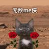 无敌me侠（猫meme）