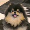 李相夷