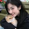 Zero_失眠小羊