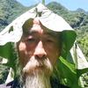 盐枝有梨