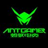 ANTGAMER显示器旗舰店