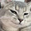 空格