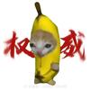 炫酷猫me