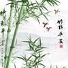 LED创意视觉