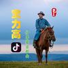 宝力高▶️蒙古歌曲U盘