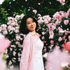 杨小花🌸女士