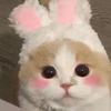 轩轩