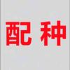 北京哪里给猫配种