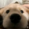 快快快快快打败