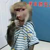 狒大嘴