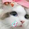 吃货联盟